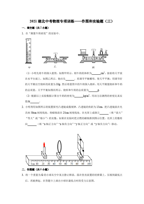 2021年湖北中考物理专项训练——作图和实验题(三)