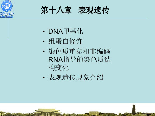 第十八章 表观遗传