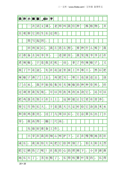 五年级叙事作文:我种小辣椒_650字