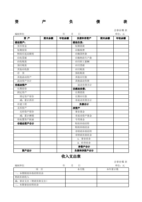 事业单位会计报表格式