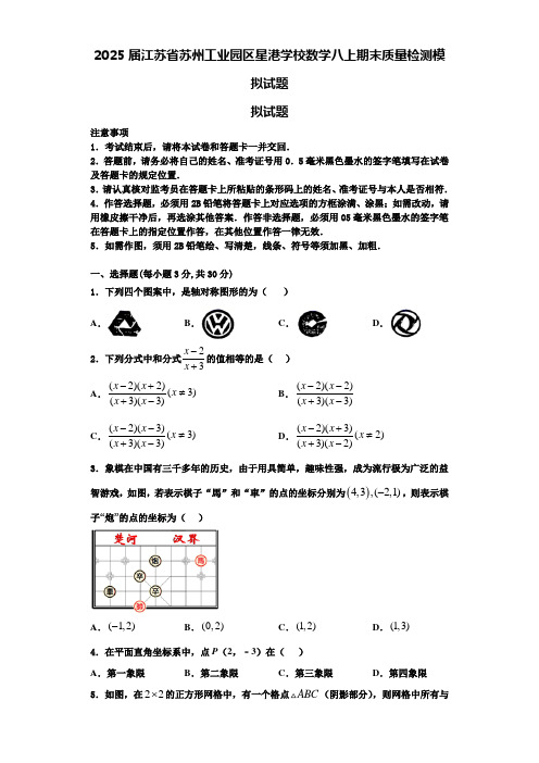 2025届江苏省苏州工业园区星港学校数学八上期末质量检测模拟试题含解析