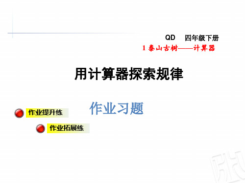 四年级下册数学课件一泰山古树——计算器第2课时 用计算器探索规律 青岛版 (共8张PPT)