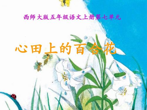 《心田上的百合花》