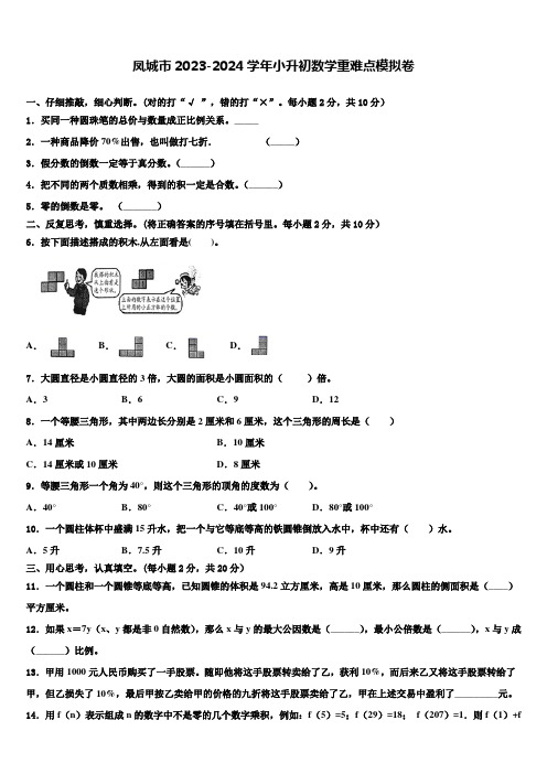 凤城市2023-2024学年小升初数学重难点模拟卷含解析