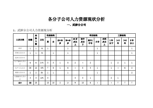 分公司人力资源现状分析报告