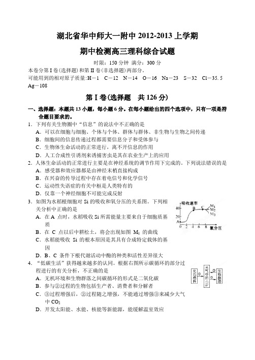 湖北省华中师大一附中12—13上学期高三理科综合期中考试试卷