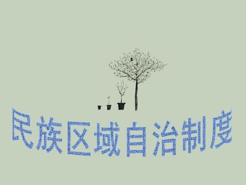 民族区域自治制度课件