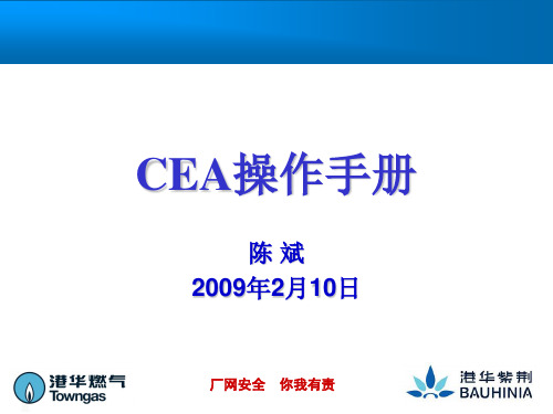 CEA操作手册