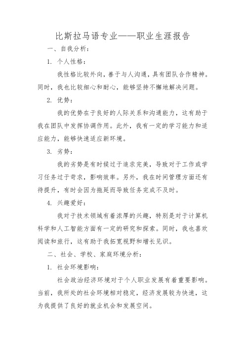 比斯拉马语专业——职业生涯报告