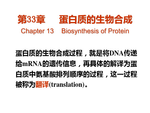 蛋白质的生物合成过程