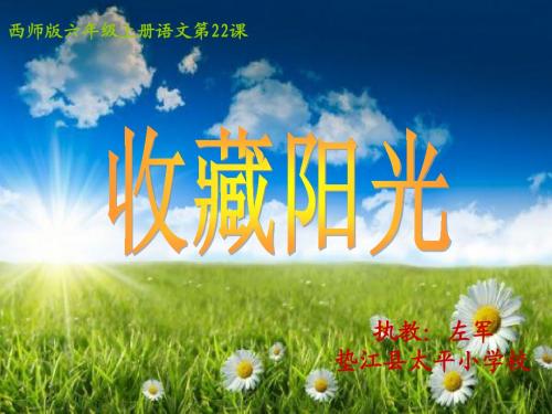 《收藏阳光》