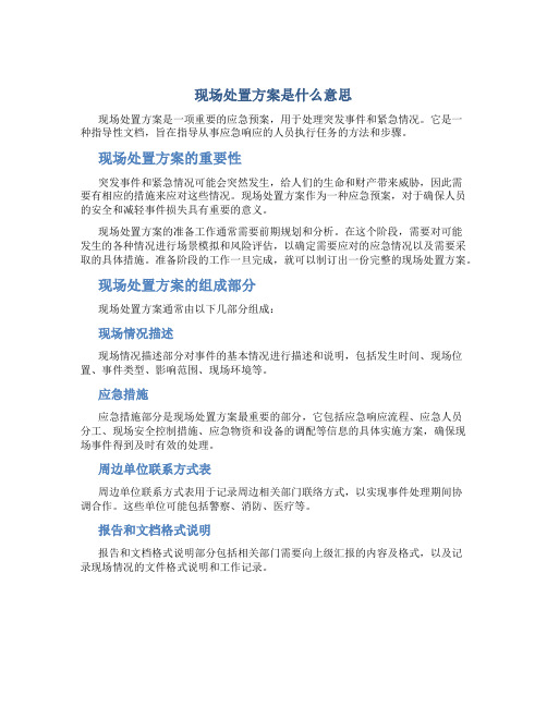 现场处置方案是什么意思