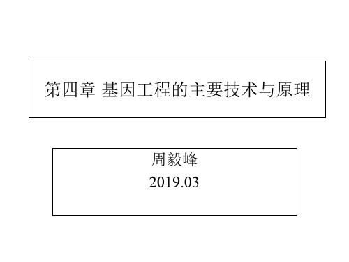 何水林版基因工程第四章基因工程的主要技术与原理