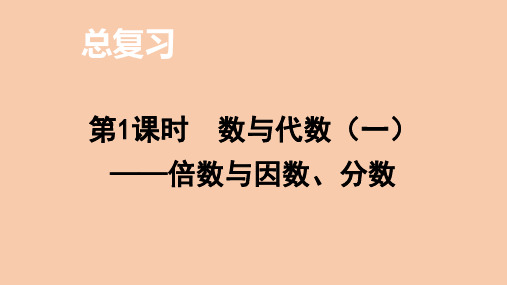 北师大版数学五年级上册总复习 第1课时 数与代数(一)——倍数与因数、分数