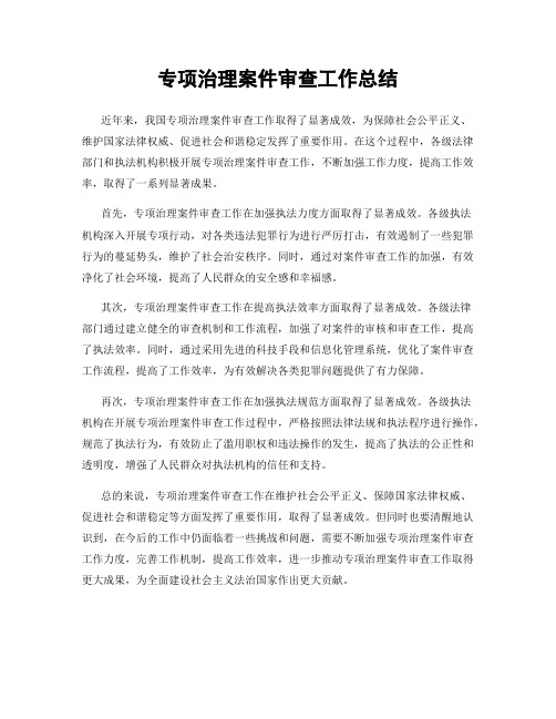 专项治理案件审查工作总结