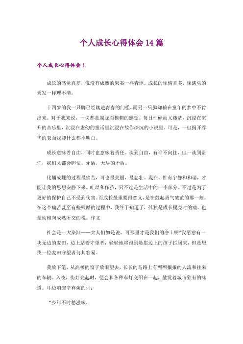 个人成长心得体会14篇