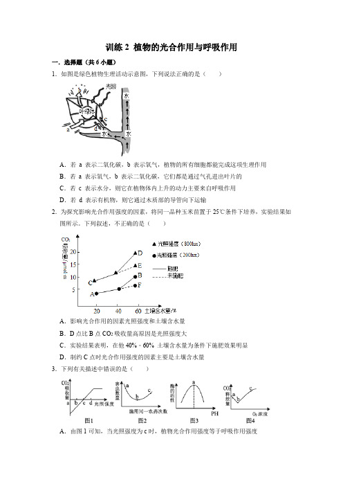 2021年中考科学精练2 植物的光合作用与呼吸作用(Word版含答案)