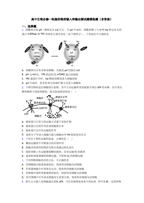 高中生物必修一细胞的物质输入和输出测试题模拟题(含答案)