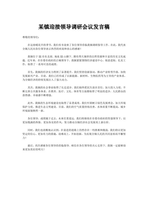 某镇迎接领导调研会议发言稿1