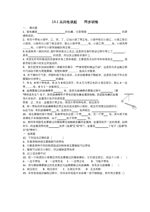 13.1从闪电谈起    同步训练