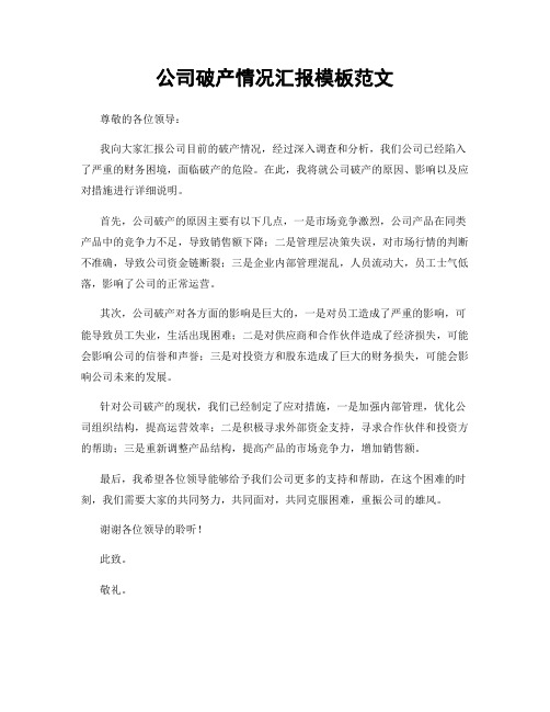 公司破产情况汇报模板范文