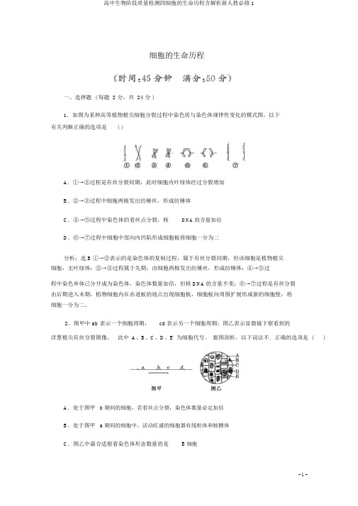 高中生物阶段质量检测四细胞的生命历程含解析新人教必修1