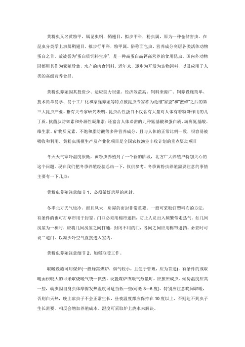 面包虫的饲养