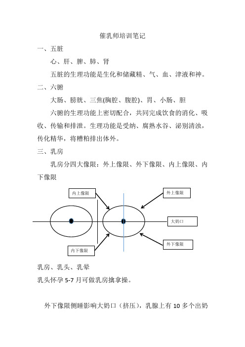 催乳师培训课