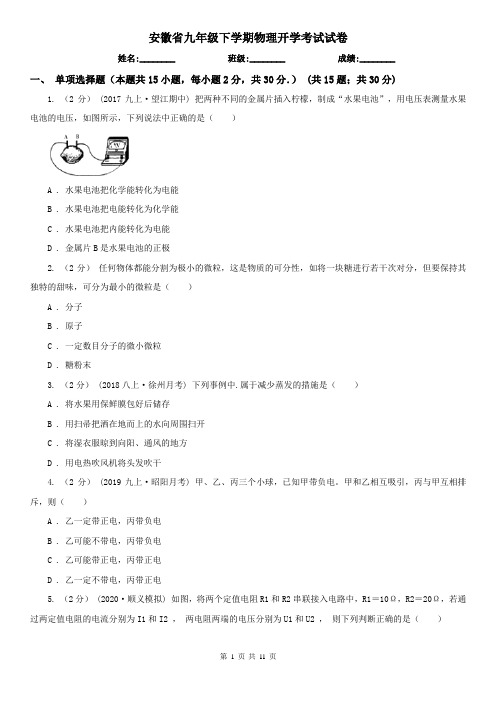 安徽省九年级下学期物理开学考试试卷