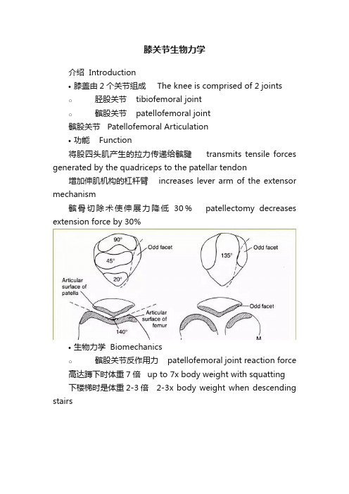 膝关节生物力学