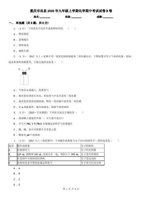 重庆市忠县2020年九年级上学期化学期中考试试卷B卷