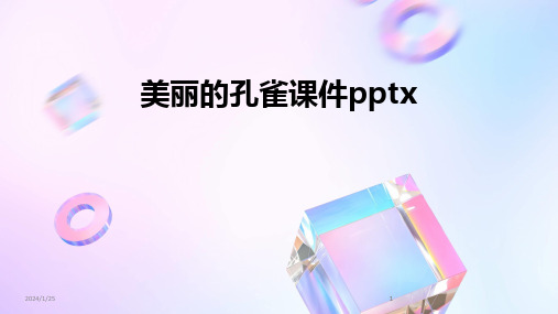 2024版美丽的孔雀课件pptx