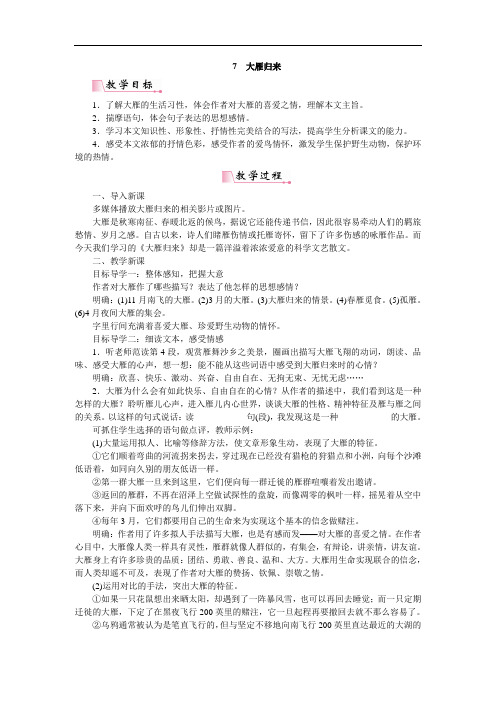 7大雁归来  公开课一等奖教案