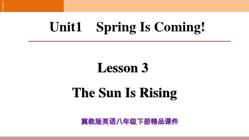 冀教版英语八年级下册Lesson 3精品课件(30页)