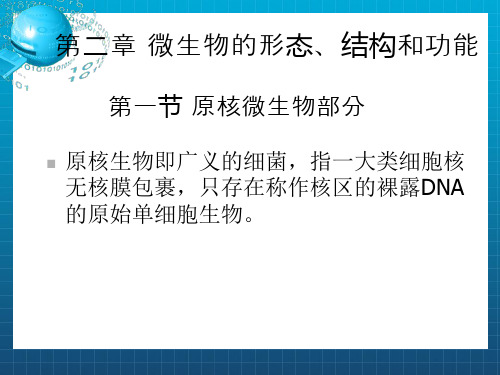 微生物的形态、结构和功能(1)