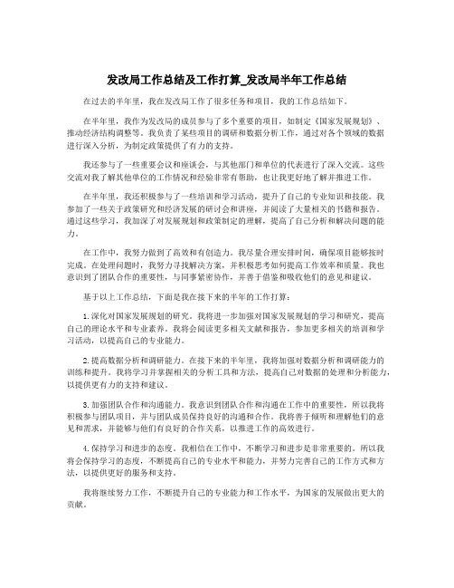 发改局工作总结及工作打算_发改局半年工作总结