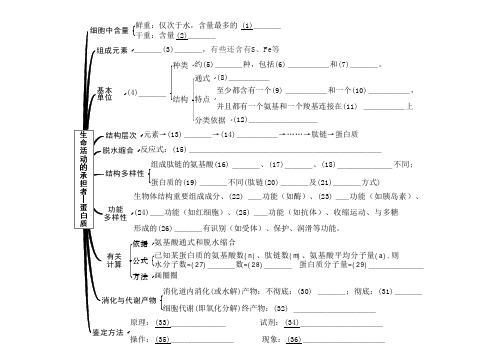 高中生物必修I分子与细胞 思维导图(原创含答案)