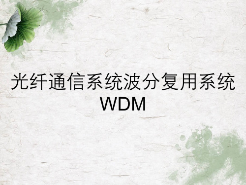 光纤通信系统波分复用系统WDM