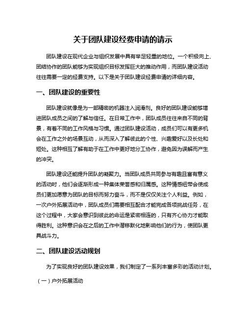 关于团队建设经费申请的请示