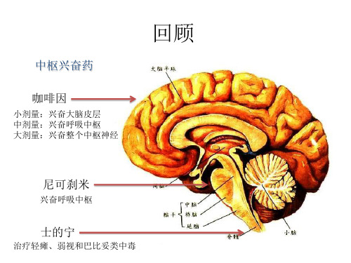 第十章 治疗精神障碍药物