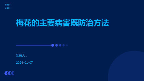 梅花的主要病害既防治方法