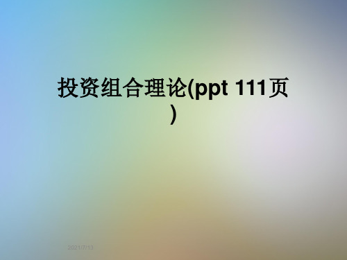 投资组合理论(ppt 111页)