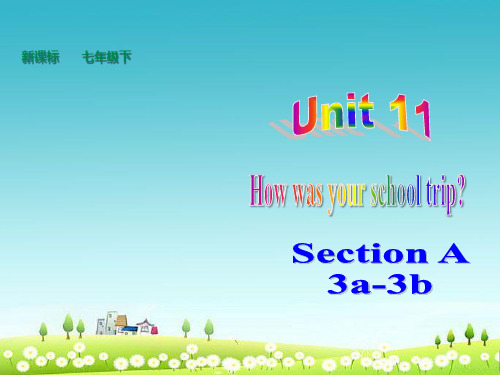 Unit11+SectionA++Focus-3b+课件+2022-2023学年人教版英语七年级下册