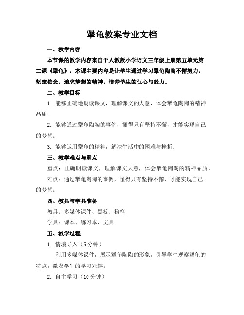 犟龟教案专业文档