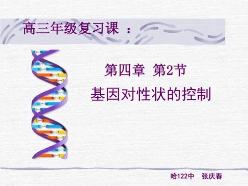 人教版教学课件年高三一轮复习课---基因对性状的控制资料