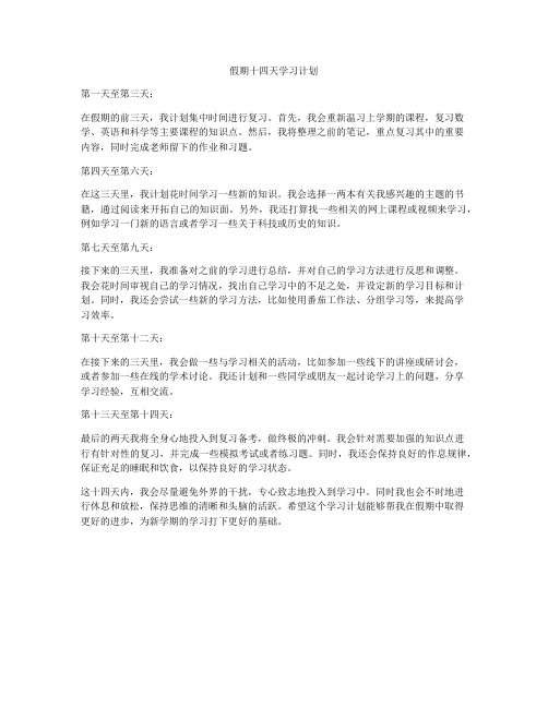 假期十四天学习计划