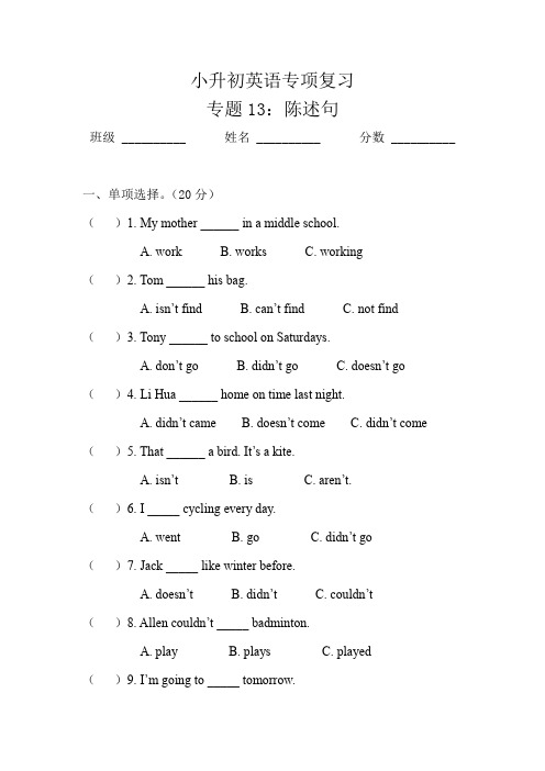 小升初专项复习 专题13：陈述句 通用版