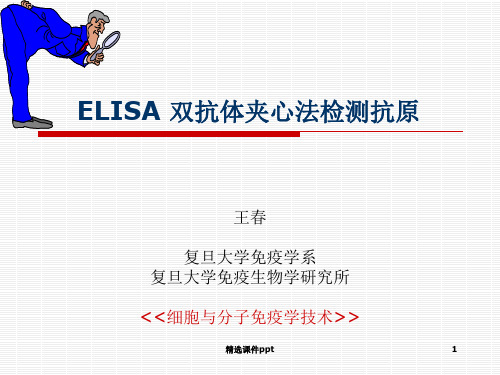 ELISA-双抗夹心法检测抗原