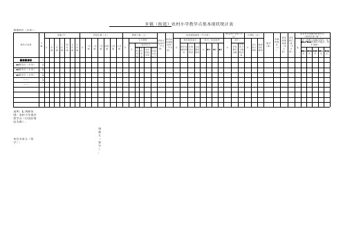 农村小学教学点基本情况统计表