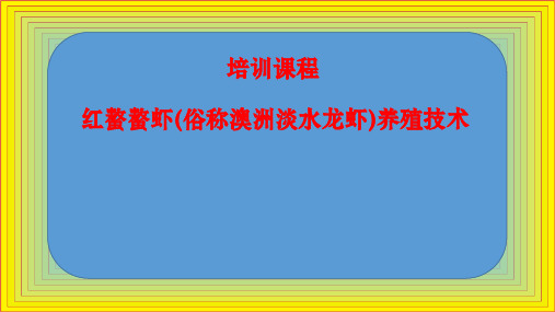 红螯螯虾俗称澳洲谈水龙虾养殖技术课程